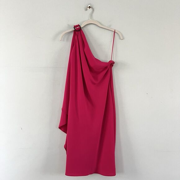 NWT Lauren Ralph Lauren Druzana Georgette Magenta One Shoulder Cocktail Dress - Picture 3 of 8